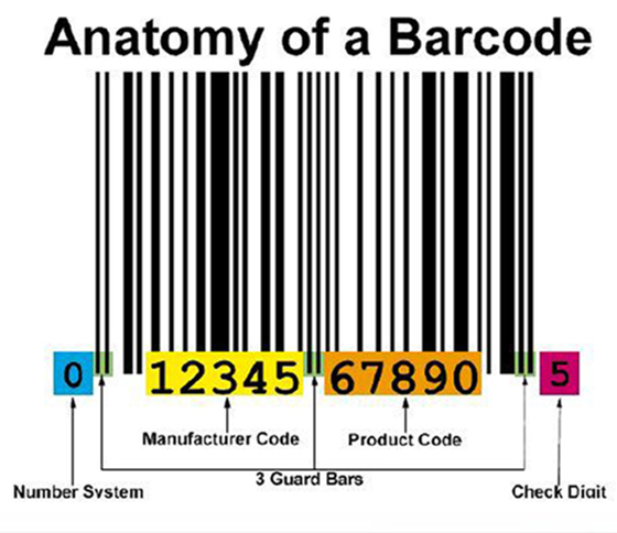 KGB Report by Kevin G. Barkes - Bar codes, chocolate pudding day, gator ...