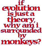 If evolution is just a theory, why am I surrounded by monkeys?